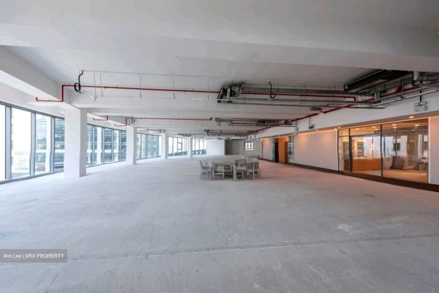 PLUS (D1), Office #559884721